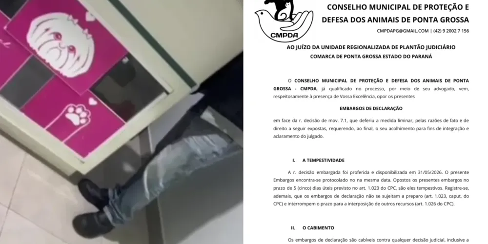 Conselho pede multa em documento