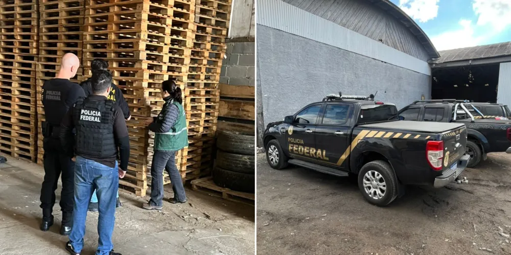Mandado de busca e apreensão foi cumprido em Curitiba