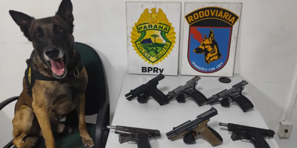 Equipe de Operações com Cães da 5ª Companhia do Batalhão de Polícia Rodoviária realizou a ocorrência