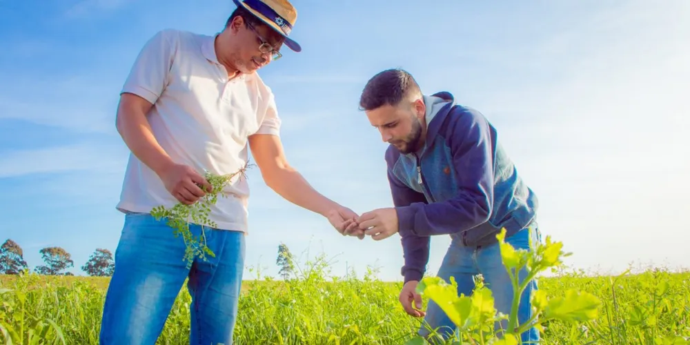 Propostas podem ser enviadas até 25 de junho