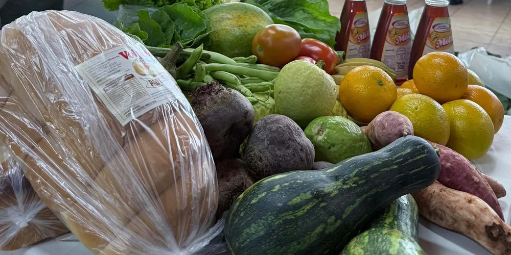 Programa Compra Direta Paraná adquire alimentos frescos e orgânicos da agricultura familiar para abastecer entidades assistenciais e famílias em vulnerabilidade