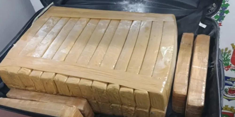 Foram encontrados 30 tabletes de maconha que somavam o peso de 24 kg