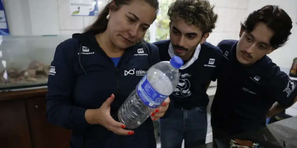 A pesquisadora Fernanda Possatto fala sobre o trabalho com resíduos de lixo no mar