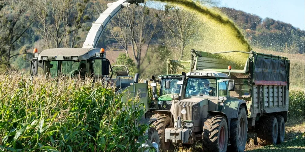 Produtores rurais enfrentam dificuldades de acesso ao crédito devido a taxas de juros consideradas incompatíveis com a realidade do campo e margens de lucro reduzidas no setor agropecuário