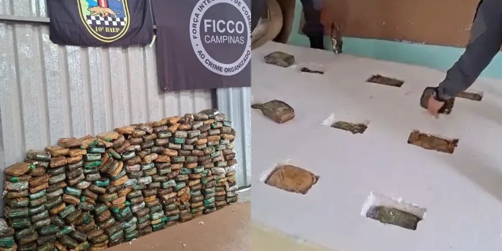 Ao todo, foram encontrados 245 tijolos de droga