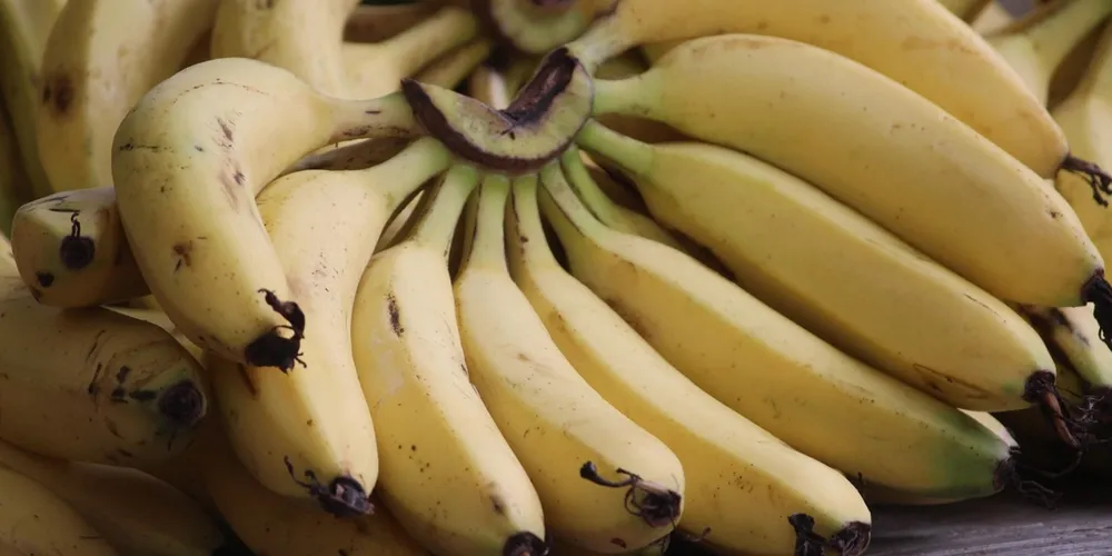 Preços da banana e da alface registraram recuo em maio na maioria das Ceasas do país impulsionados por fatores climáticos e boa oferta de produção