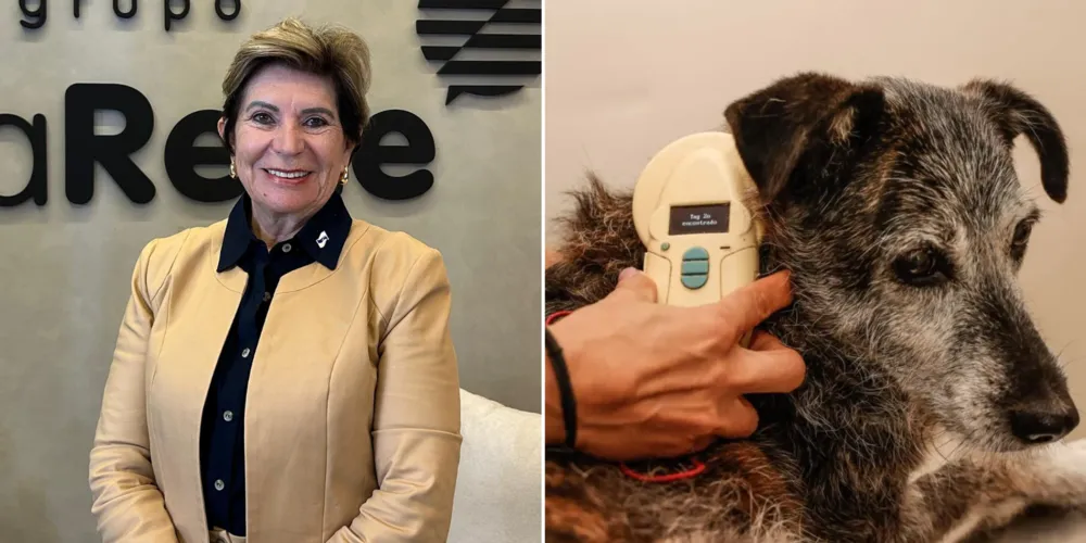 A prefeita Elizabeth Schmidt (União Brasil) alterou a Lei nº 9.019/2007, que amplia os mecanismos de proteção no atendimento aos animais resgatados