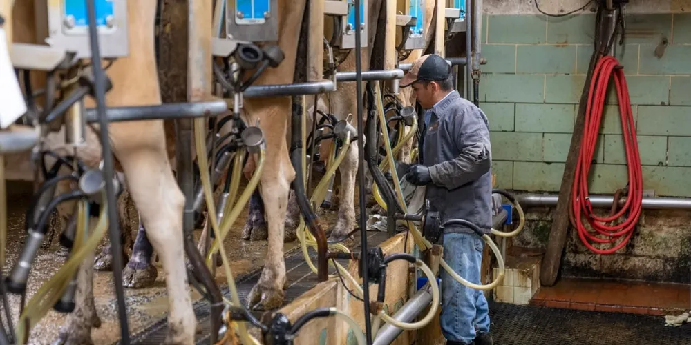 Investimentos em genética, nutrição de precisão e manejo sanitário impulsionam a eficiência nas fazendas