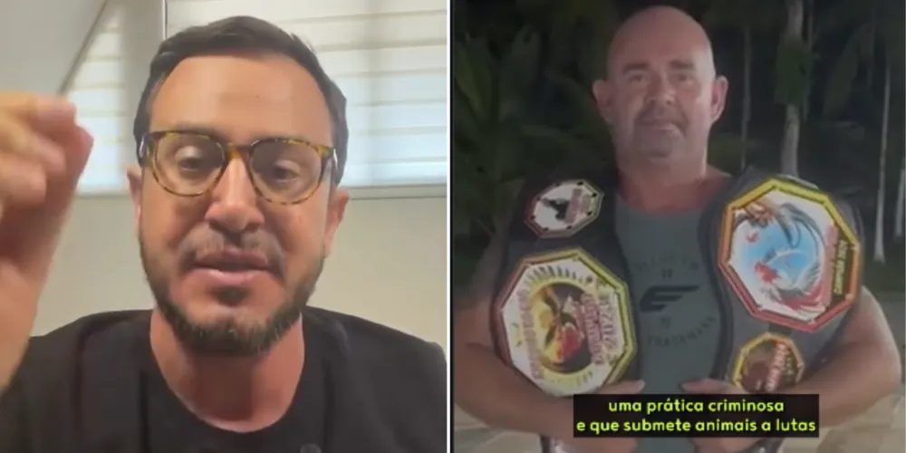 Vídeo é criticado pelo deputado Matheus Laiola