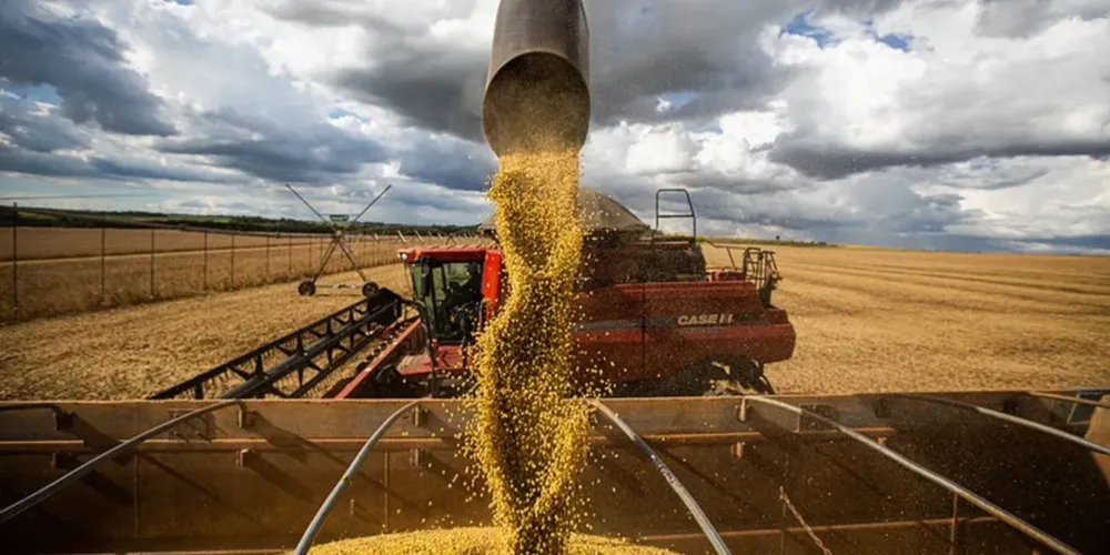 A expectativa é de que a soja atinja marco histórico de 180 milhões de toneladas produzidas, um recorde na série histórica da Conab