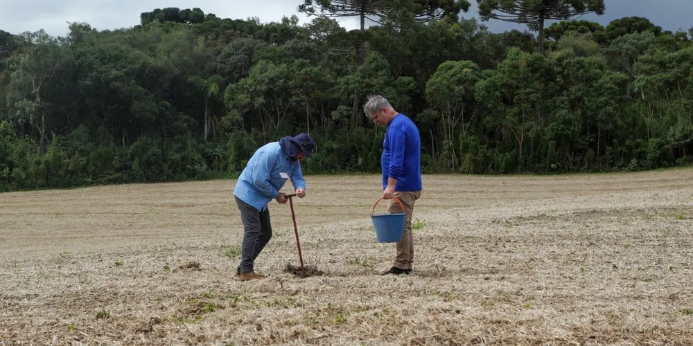 SaneBio atua como condicionador de solo e fertilizante, promovendo a reciclagem sustentável de subprodutos do saneamento na agricultura paranaense