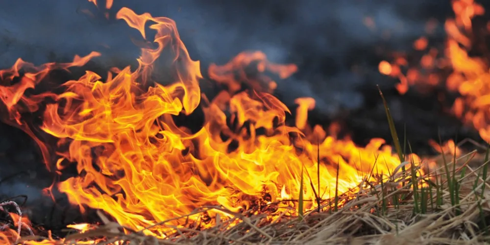 Capacitação de combate a focos de incêndio do Sistema FAEP já atendeu mais de 10 mil pessoas no Paraná e visa criar barreiras contra o fogo no período mais crítico da estiagem