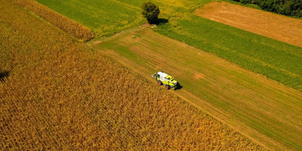 Programa de subvenção ao seguro rural terá menos recursos para proteger produtores contra perdas climáticas