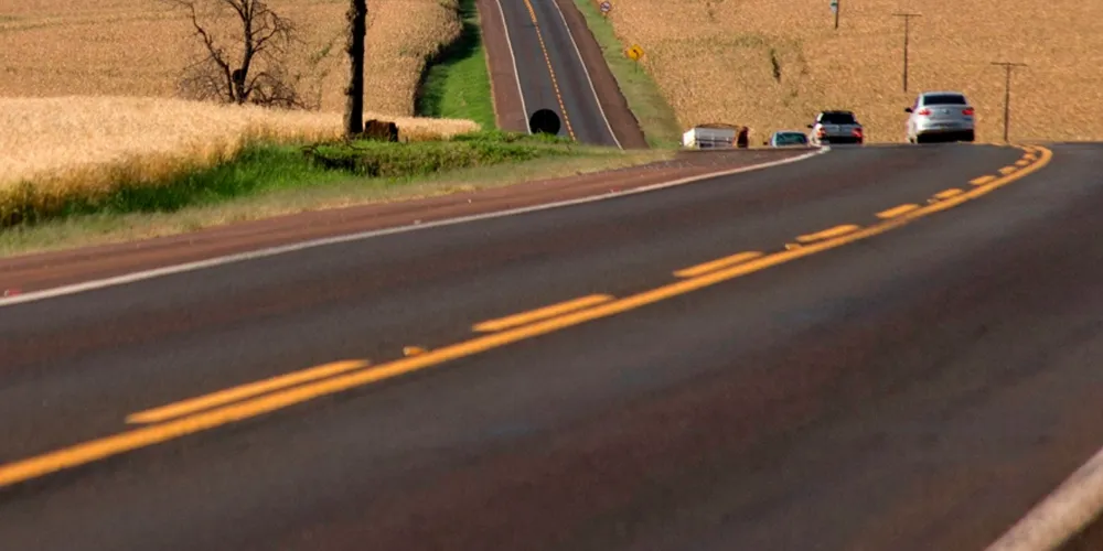 Plantações lindeiras às rodovias paranaenses terão de ser erradicadas para instalação de cercas no prazo de 30 dias, contrariando acordos firmados com as concessionárias