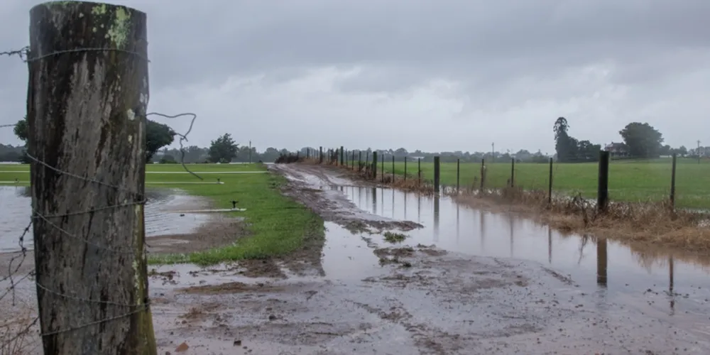 Diante de incertezas climáticas e margens apertadas, produtores rurais dependem do Seguro Rural para garantir a proteção e a segurança financeira de suas lavouras