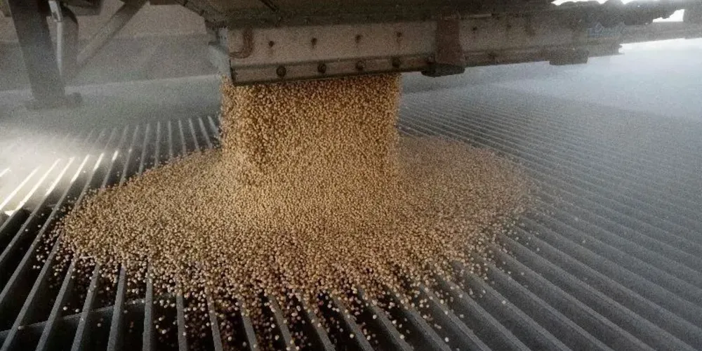 A associação considera um intervalo no volume exportado entre 14,9 milhões e 16,6 milhões de toneladas de soja, a depender do ritmo dos portos
