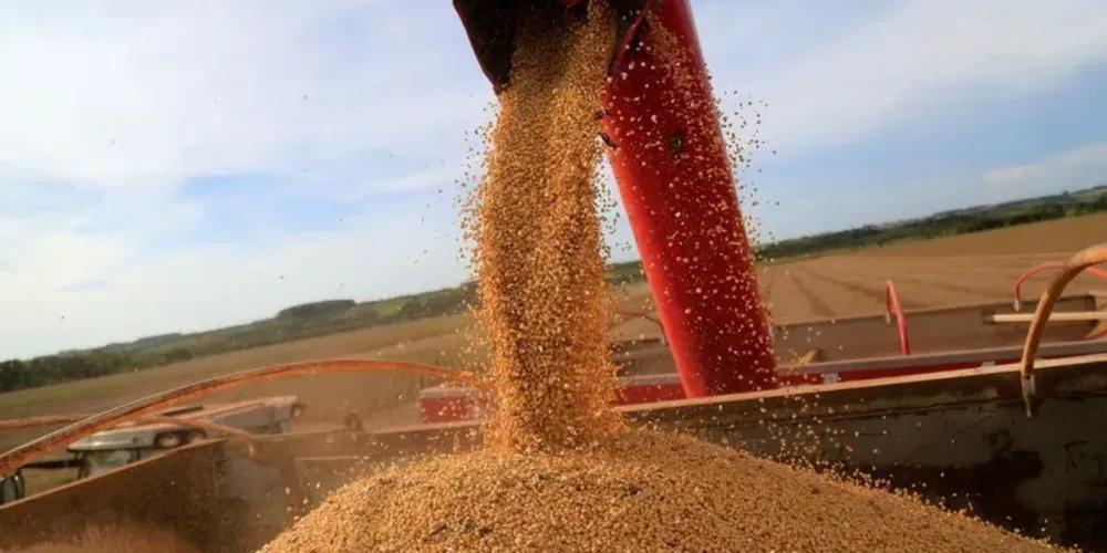 Anec projeta queda na exportação de soja e milho em junho