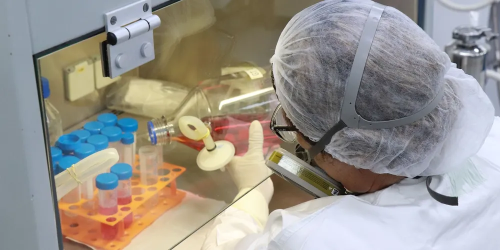 Pesquisadora atua em laboratório do Tecpar, instituição que adota o conceito de Saúde Única integrando biotecnologia e preservação ambiental