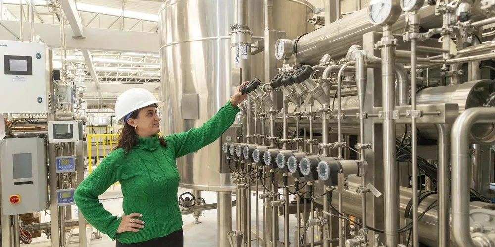Giselle Nocera, gerente do Centro de Insumos para Diagnóstico Veterinário do Tecpar, acompanha os alinhamentos técnicos e o planejamento estratégico para o início do cultivo de cepas bacterianas na instituição