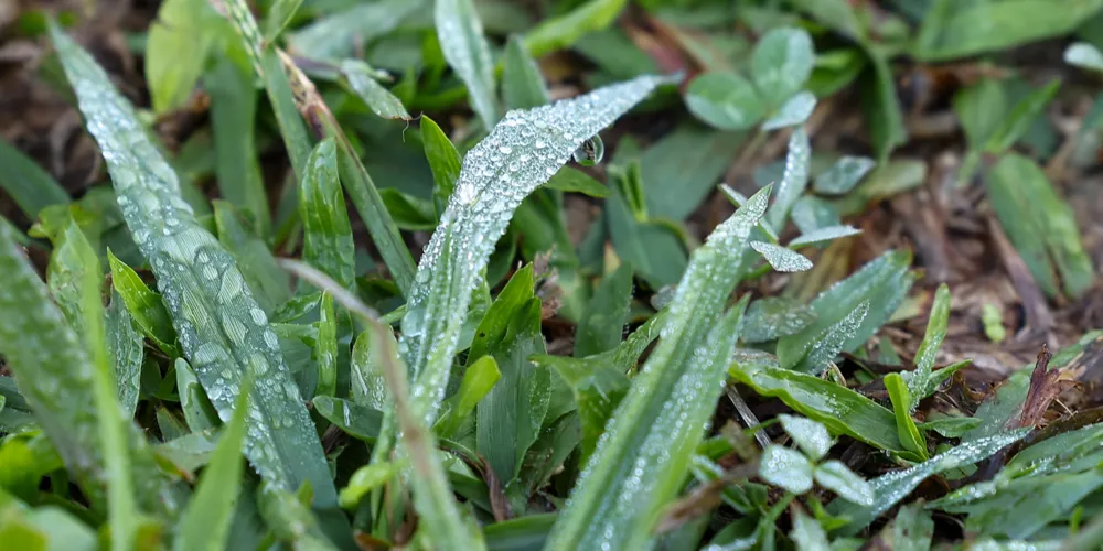Nesta segunda-feira, Paraná bateu recorde das temperaturas mais baixas em 2026