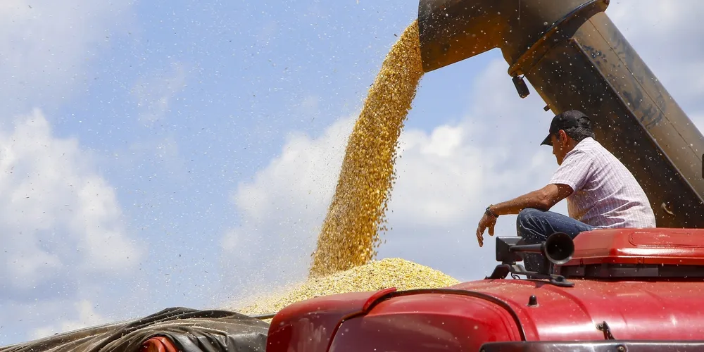 A produção de grãos impulsionou o faturamento dos Campos Gerais