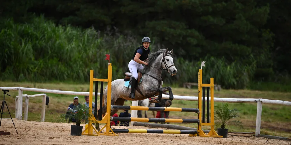 Prova equestre