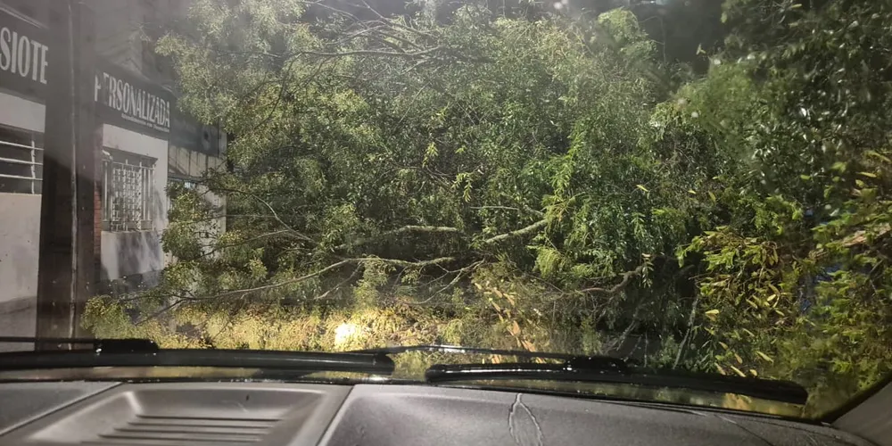 Na sequência do forte temporal que atingiu Ponta Grossa, uma árvore de grande porte caiu e interditou a Rua Santana