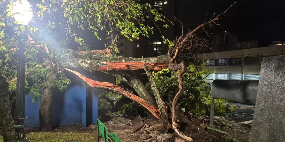Moradores relataram que o barulho da queda foi forte e causou apreensão, especialmente devido à intensidade do temporal