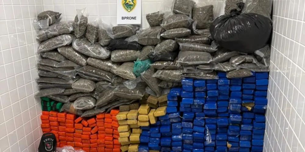Ao todo, foram retirados de circulação 275,3 quilos de maconha, 43,8 quilos de skunk (conhecida popularmente como “morruga”), 750 gramas de haxixe, 39 canetas contendo THC e 36 piteiras com THC