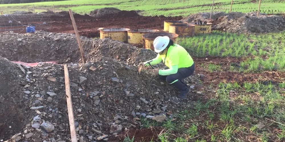 A construção de uma linha de transmissão de energia entre os estados do Paraná e São Paulo resultou na descoberta de 2.655 fósseis de animais e plantas que viveram na Terra há centenas de milhões de anos, antes do surgimento dos dinossauros