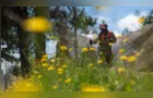 PG amplia fiscalização e aplica multas por falta de limpeza em terrenos