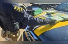 PRF prende caminhoneiro com cocaína após flagrar tentativa de descarte