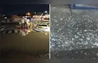 Temporal com granizo deixa cerca de mil pessoas afetadas em PG