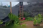 Temporal atinge loja de plantas e paisagismo de Ponta Grossa