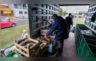 Feira Verde estará no 'Shangrilá' e mais 12 locais de Ponta Grossa hoje; confira