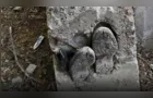 Homem é torturado e concretado vivo por facção criminosa