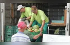 Feira Verde estará no 'Santa Paula' e mais 13 vilas em PG; veja sua rua