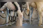 Produtores ganham mercado futuro para venda do leite