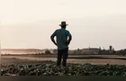 Seguro rural despenca no Paraná e coloca atividade em risco