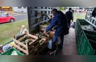 Feira Verde estará na 'Francelina' e mais 11 vilas em Ponta Grossa; veja sua rua