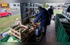 Feira Verde estará na 'Francelina' e mais 11 vilas em Ponta Grossa; veja sua rua