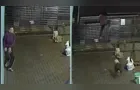 Ladrão invade residência e é surpreendido por pit bull; veja vídeo