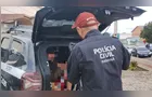 Autor de assassinato com vítima carbonizada é preso em Palmeira