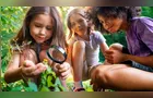 Prêmio Escolas Baseadas na Natureza abre inscrições com apoio de até R$ 100 mil