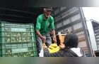Feira Verde estará na 'Vila Jamil' e em mais 10 vilas em Ponta Grossa; veja sua rua
