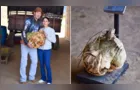 Batata-doce de 41 quilos colhida em Ipiranga pode entrar para ranking mundial