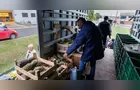 Feira Verde estará no 'Shangrilá' e mais 12 locais de Ponta Grossa hoje; confira