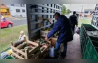 Feira Verde estará no 'Shangrilá' e mais 12 locais de Ponta Grossa hoje; confira