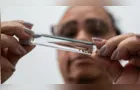 'Método Wolbachia' chega a Ponta Grossa para reforçar combate à dengue
