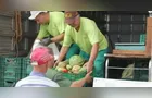 Feira Verde estará no 'Santa Paula' e mais 13 vilas em PG; veja sua rua